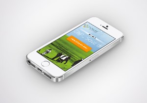 Aplikacja mobilna Sovaldi ChPL